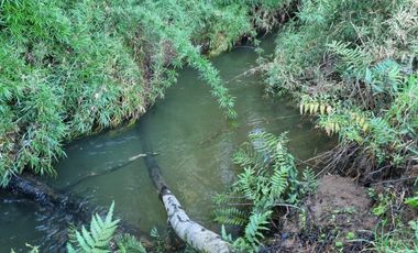 Parcelas con Estero Sector Lipingue
