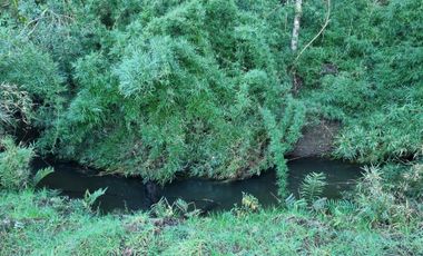 Parcelas con Estero Sector Lipingue