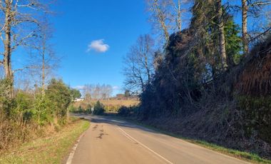 Parcelas con Estero Sector Lipingue