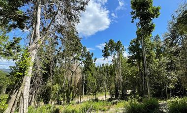 Parcela Loteo Santo Domingo