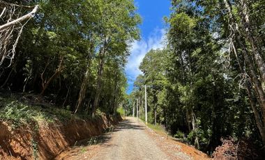 Parcela Loteo Santo Domingo