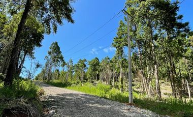 Parcela Loteo Santo Domingo