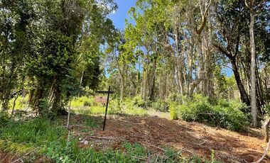 Parcela Loteo Santo Domingo