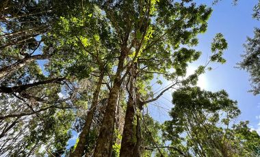 Parcela Loteo Santo Domingo