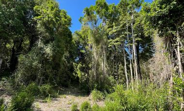 Parcela Loteo Santo Domingo