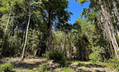 Parcela Loteo Santo Domingo