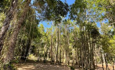 Parcela Loteo Santo Domingo