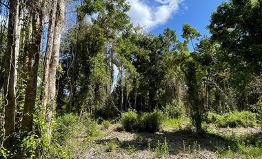 Parcela Loteo Santo Domingo