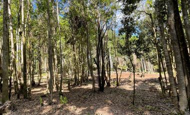 Parcela Loteo Santo Domingo