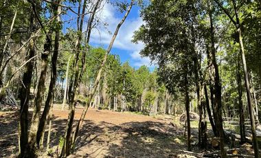 Parcela Loteo Santo Domingo