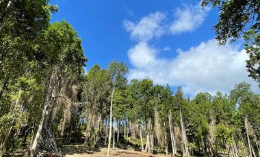 Parcela Loteo Santo Domingo
