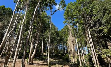 Parcela Loteo Santo Domingo