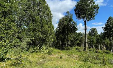 Parcela Loteo Santo Domingo