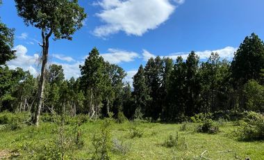 Parcela Loteo Santo Domingo