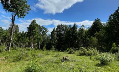 Parcela Loteo Santo Domingo