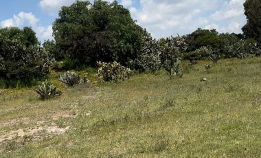 TERRENO INDUSTRIAL, TODOS LOS SERVICIOS, CERCA DE SAN JUAN DEL RIO