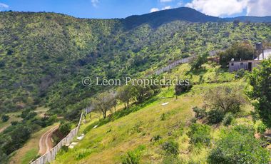 Leon Propiedades vende Gran casa en parcela de 20 ha. en Sector Cuyuncavi, Curacaví.
