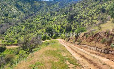 Leon Propiedades vende Gran casa en parcela de 20 ha. en Sector Cuyuncavi, Curacaví.