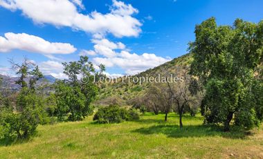 Leon Propiedades vende Gran casa en parcela de 20 ha. en Sector Cuyuncavi, Curacaví.