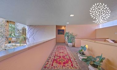Casa de las Ranas - Las Quintas
