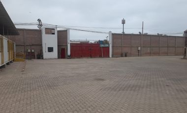 Venta o Alquiler de Local en Lurín con una ubicación estratégica en la Antigua Panamericana Sur!