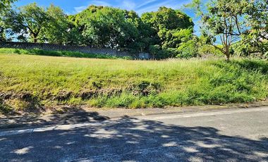 For Sale:  Residential Lot in Ayala Alabang Village, Muntinlupa City, P147M