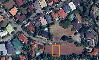 For Sale:  Residential Lot in Ayala Alabang Village, Muntinlupa City, P147M