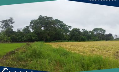 Finca en Venta, Pimocha, Los Ríos, Ecuador