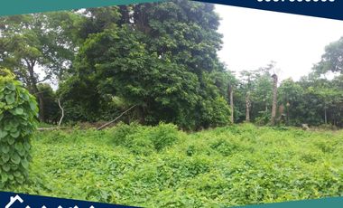 Finca en Venta, Pimocha, Los Ríos, Ecuador