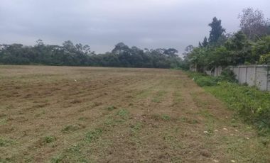 terreno comercial de venta en calceta