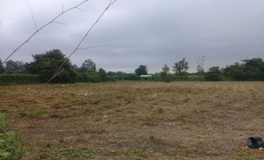 terreno comercial de venta en calceta