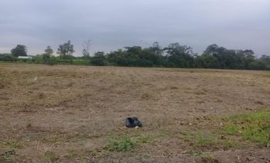terreno comercial de venta en calceta