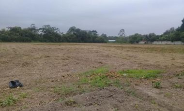 terreno comercial de venta en calceta
