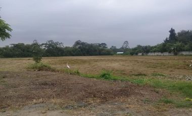 terreno comercial de venta en calceta
