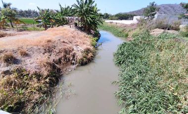 finca arrocera de venta en rocafuerte