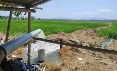 finca arrocera de venta en rocafuerte