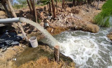 finca arrocera de venta en rocafuerte