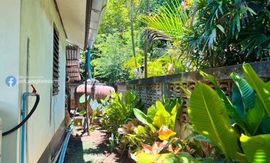 Single house with spacious area, area up to 190 sq  wa, in Ban Na satanee, Mueang Sa Kaeo, special price