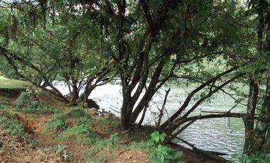 finca de venta en esmeraldas Quininde