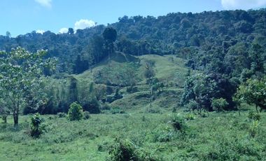 finca de venta en esmeraldas Quininde