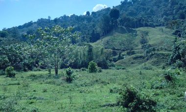 finca de venta en esmeraldas Quininde