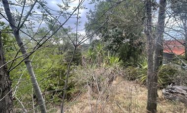 TERRENO EN VENTA EN LA ESTADÍA, ZONA ESMERALDA