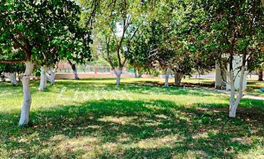Quinta en Venta Campestre Los Girasoles