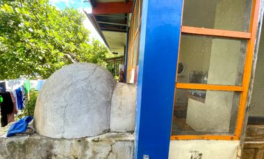 Blue Moon Cafe Guesthouse near Puerto Princesa City