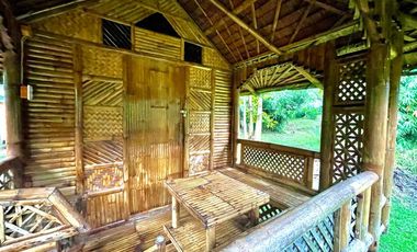Blue Moon Cafe Guesthouse near Puerto Princesa City