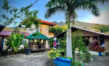 Blue Moon Cafe Guesthouse near Puerto Princesa City