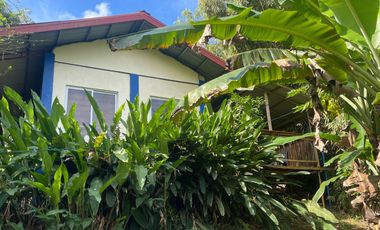 10 Bedroom Estate or rental property