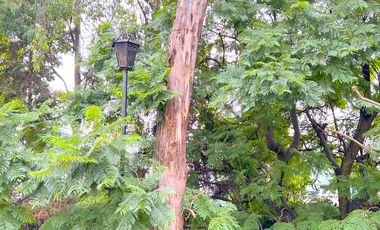 IMPECABLE DEPTO., ACTUALMENTE RENTADO, 4R, 3B, 2A, UBICACIÓN, ÁREAS COMUNES, CANCHA DE PADEL, JARDINES, VIGILANCIA, ETC. IDEAL PARA RECIBIR RENTAS