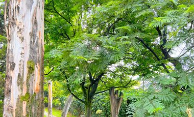 IMPECABLE DEPTO., ACTUALMENTE RENTADO, 4R, 3B, 2A, UBICACIÓN, ÁREAS COMUNES, CANCHA DE PADEL, JARDINES, VIGILANCIA, ETC. IDEAL PARA RECIBIR RENTAS