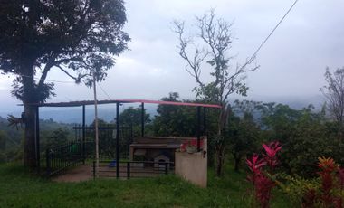 VENDO  O PERMUTO FINCA PRODUCTIVA